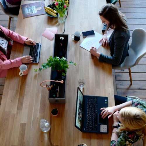 Bacău, în topul județelor cu cele mai multe companii cu acționariat feminin