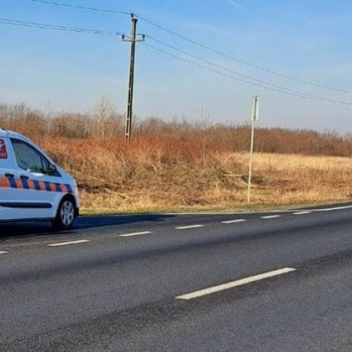 Probleme temporare la emiterea rovinietelor și peajelor prin SMS în Timișoara