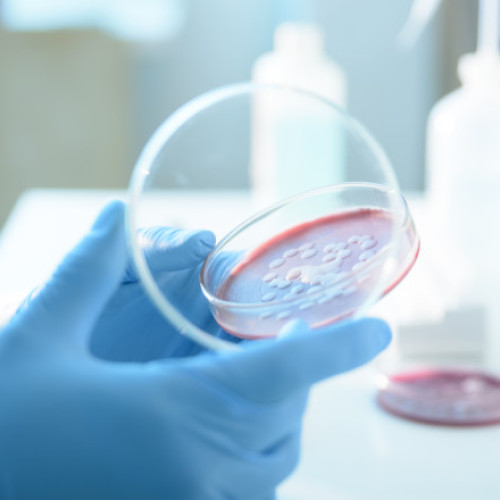 Anchetă la Spitalul „Sfânta Maria” după decesul a șase copii din cauza infecției cu Serratia marcescens