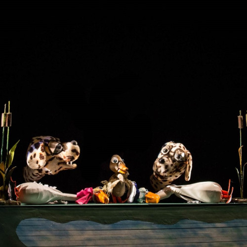 Spectacolul „Rățușca cea Urâtă” va fi jucat în două reprezentații la teatrul Căluțul de mare