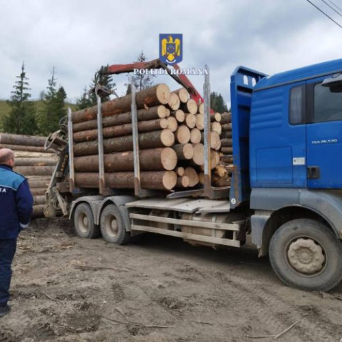 Șofer rănit după ce a căzut de pe stivele de lemn în județul Suceava