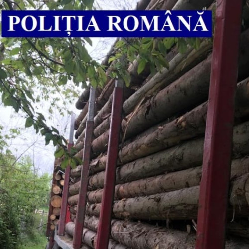 Acțiune de prevenire a tăierilor ilegale de arbori în județul Alba