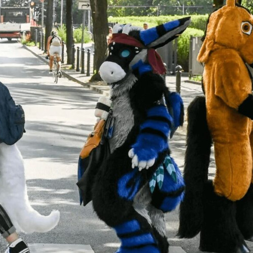 Fenomenul furry, tot mai prezent în rândul adolescenților din România