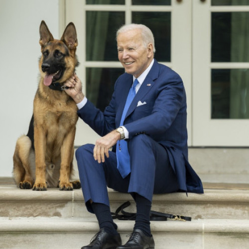 Ciinele lui Biden, Commander, mușcă de 24 de ori agenți Secretului Serviciului