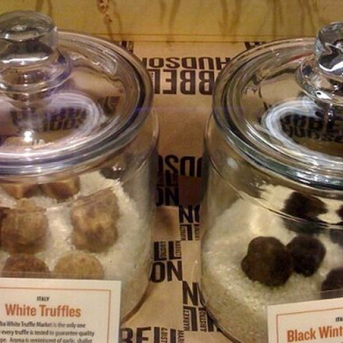 Seceta prelungită distruge producția de trufe din pădurile județului Gorj