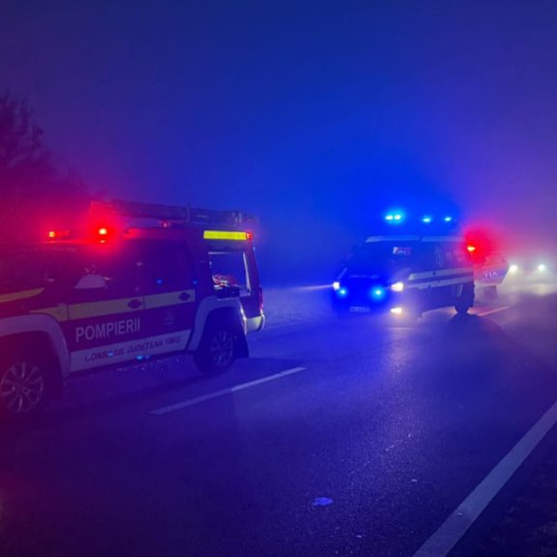 Tânără de 24 de ani moartă într-un accident cu răsturnare între Sânnicolau Mare și Saravale