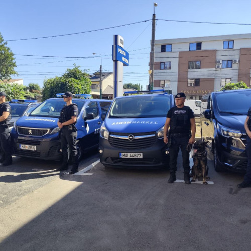 Condiții și atribuții pentru postul de șef de post în Jandarmeria Techirghiol