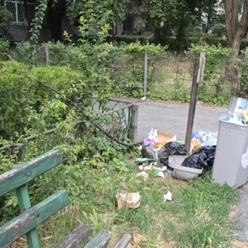 Locuitorii din Podul Ira cer intervenţie pentru curăţarea unui spațiu verde afectat de deșeuri