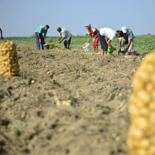 Prețul terenurilor agricole din România crește la 8.414 euro/hectar în 2025