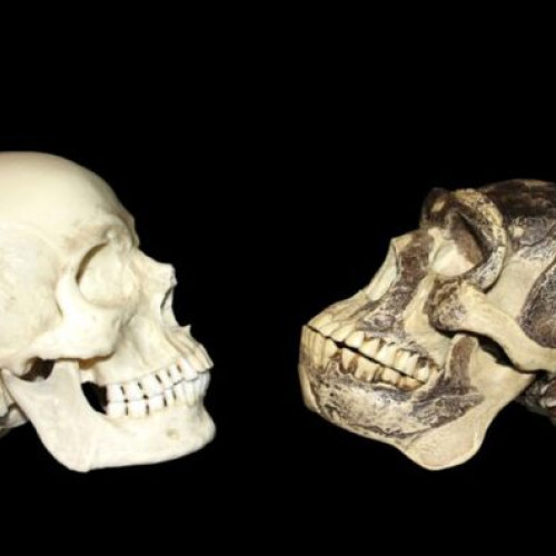 Descoperire arheologică schimbă percepția asupra evoluției umane în China