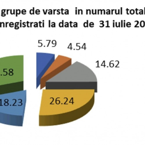 Prefectura Galați dezbate măsuri pentru ocuparea forței de muncă și sprijinirea angajatorilor