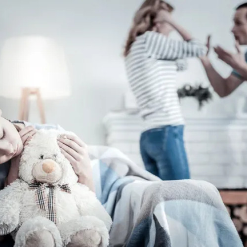 Consiliul Județean Cluj înființează o echipă pentru prevenirea violenței domestice