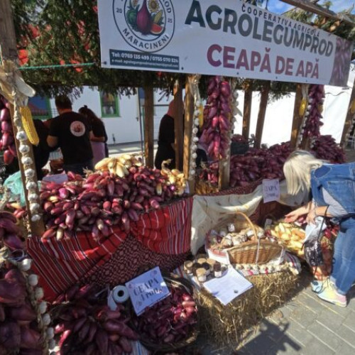 Festivalul Cepei Roșii din Mărăcineni, un succes după patru mandate de așteptare