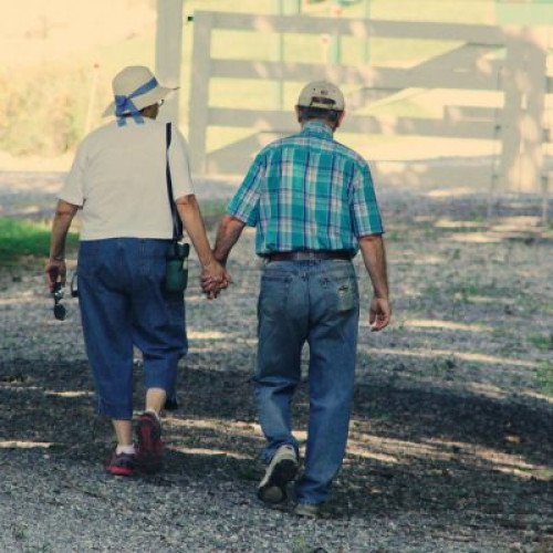 Baia Mare sărbătorește Ziua Internațională a Persoanelor Vârstnice cu activități speciale