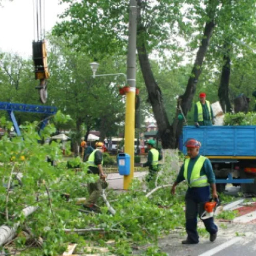 Locuitorii din Gheorgheni îngrijorați de dispariția spațiilor verzi din cauza locurilor de joacă