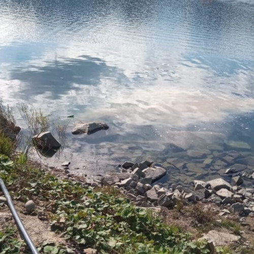 Operator economic amendat cu 30.000 de lei pentru deversare ilegală de ape uzate