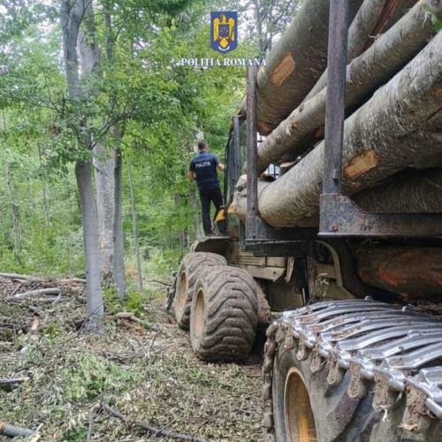 Acțiuni de control în județul Buzău pentru combaterea delictelor silvice