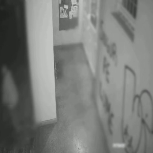 Doi bărbați reținuți pentru furt și tentativă de tâlhărie la un depozit din București