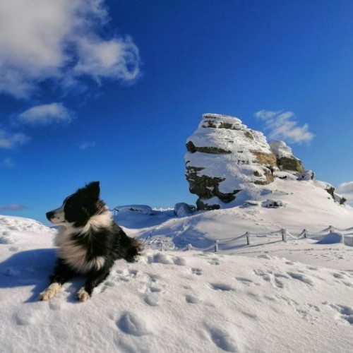 Salvamont Sibiu recomandă turiștilor echipament adecvat pentru munte în condiții de iarnă timpurie