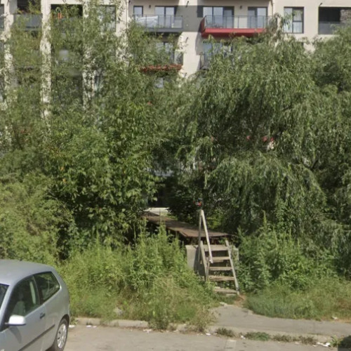 Locuitorii din Junior Residence cer modernizarea podului periculos către strada Martin Opitz
