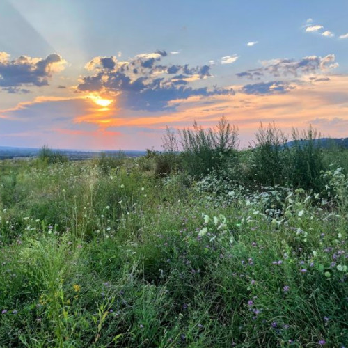 1 octombrie, sărbătoarea Acoperământului Maicii Domnului sub semnul protecției divine