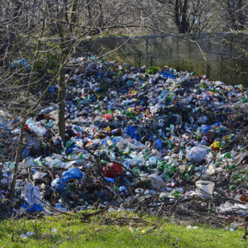 Ministra Mediului anunță campanie națională de educare privind reciclarea în 2026