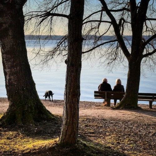 Ziua internaţională a persoanelor vârstnice, sărbătorită anual la 1 octombrie