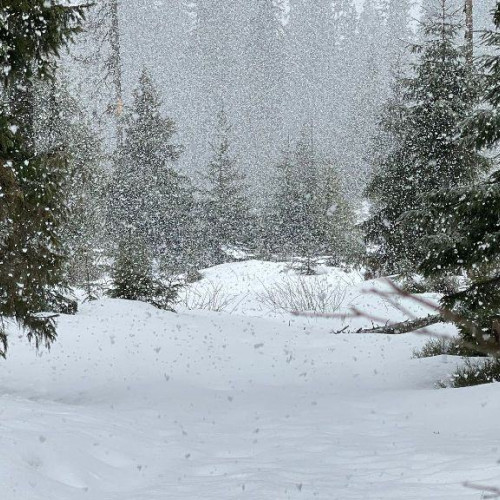 Cod galben și portocaliu de ninsori și vânt puternic în zone montane din Alba și alte județe