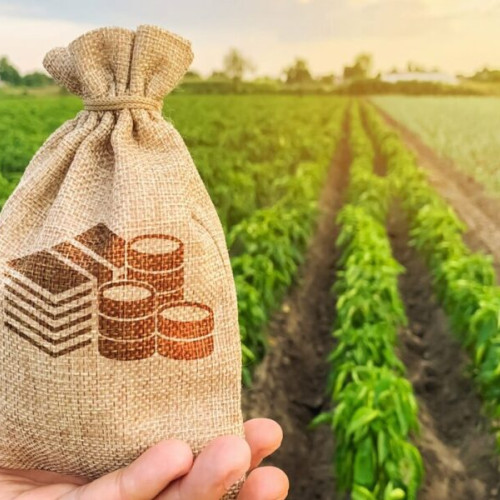 Octombrie 2025, lună decisivă pentru subvențiile agricultorilor români