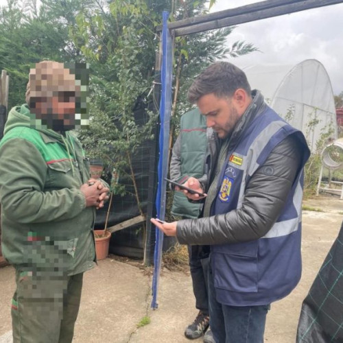 Acțiune a polițiștilor de imigrări pentru prevenirea muncii ilegale în Botoșani