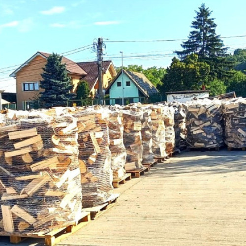 Romsilva pune la dispoziția populației 2 milioane mc lemn pentru foc la prețuri similare cu anul trecut
