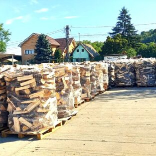 Romsilva oferă populației aproximativ 2 milioane mc de lemn pentru foc în 2025