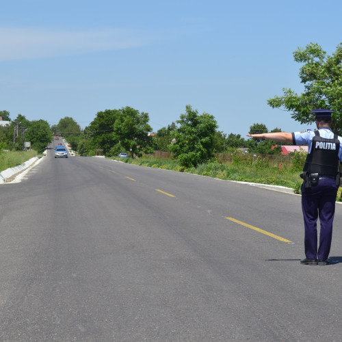 Tânăr din Suceava prins în Botoșani transportând ilegal lemn