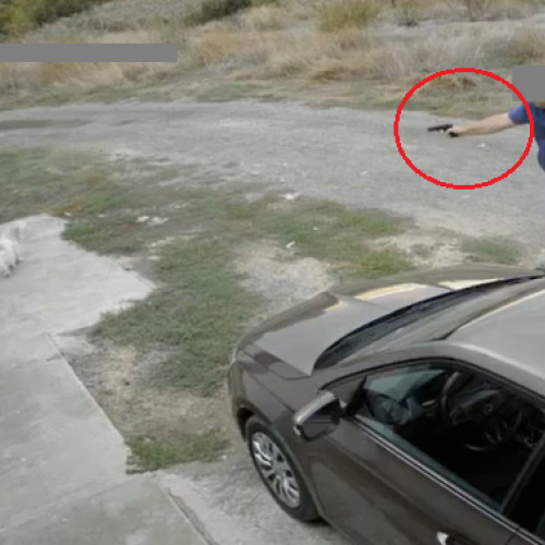 Bărbat amendat după ce a tras cu un pistol airsoft spre un câine neagresiv