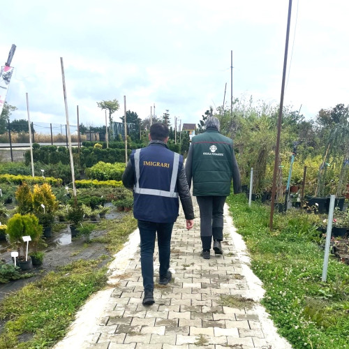 Acțiune a polițiștilor de imigrări din Botoșani pentru prevenirea muncii ilegale