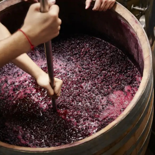 Pericolul intoxicației cu gaze de fermentație în timpul fierberii tulburelului