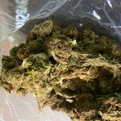 Prinşi traficanţi de droguri în flagrant la Baia Mare de poliţiştii din Satu Mare. Sechestrat un kilogram de canabis trimis din Spania în colete.