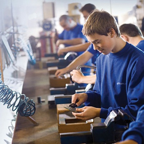 Firmele pot beneficia de subvenții pentru angajarea ucenicilor - O promisiune pentru dezvoltarea viitoare