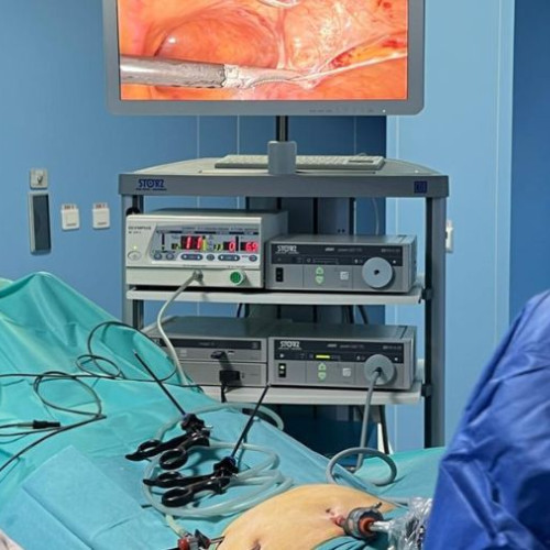 Cele mai noi tehnici de chirurgie minim invazivă, prezentate la congresul de la Eforie Nord