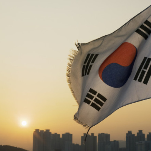 Coreea de Sud admite responsabilitatea în adopțiile abuzive internaționale