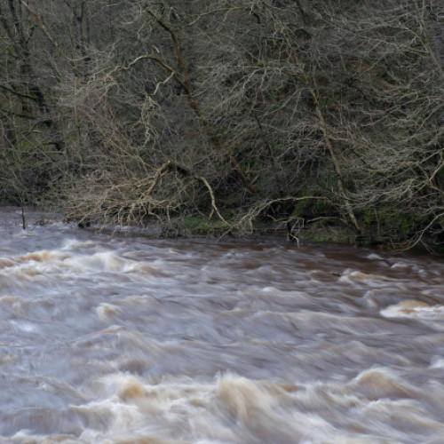 Cod roșu de precipitații a fost anunțat în județele Olt și Dolj; autoritățile se pregătesc pentru inundații