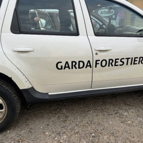 Garda Forestieră Focșani a raportat controale și sancțiuni în august 2025