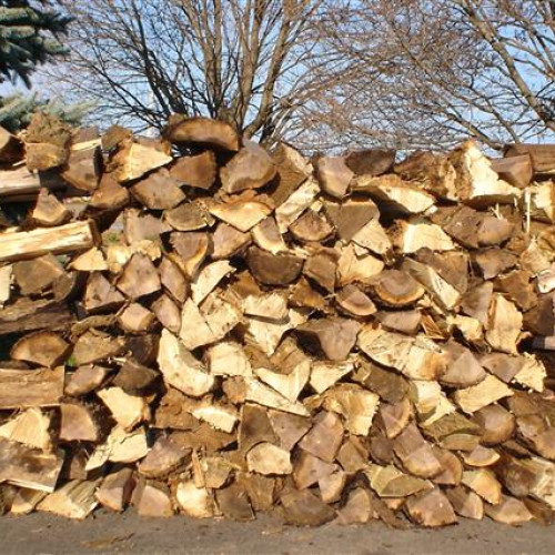 Romsilva va vinde aproximativ 2 milioane mc de lemn pentru foc și lansează un magazin online