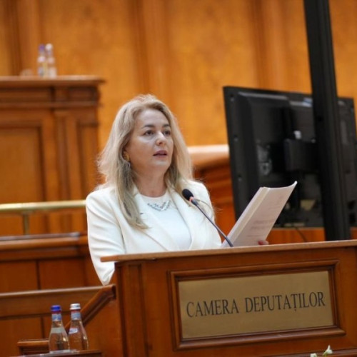 Parlamentul marchează ziua internațională a nonviolenței și susține lupta împotriva violenței domestice