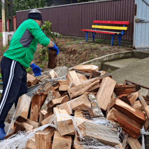 Scumpirea lemnelor de foc pune presiune pe gospodăriile din satele nordice