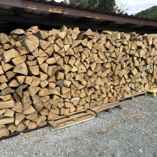 Prețurile lemnului de foc în județul Bistrița-Năsăud și modalități de achiziție