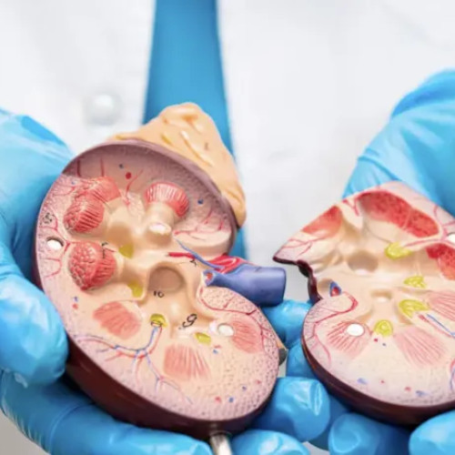 ICUTR Cluj-Napoca realizează transplanturi renale pediatrice și planifică un centru modern