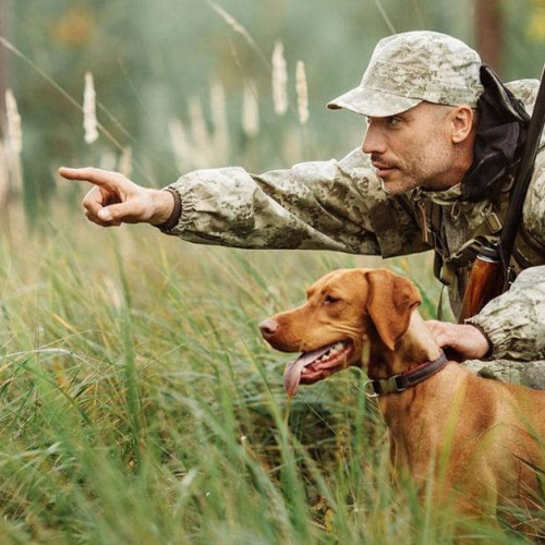 AJVPS Dâmbovița a stabilit calendarul pentru sezonul de vânătoare 2025–2026