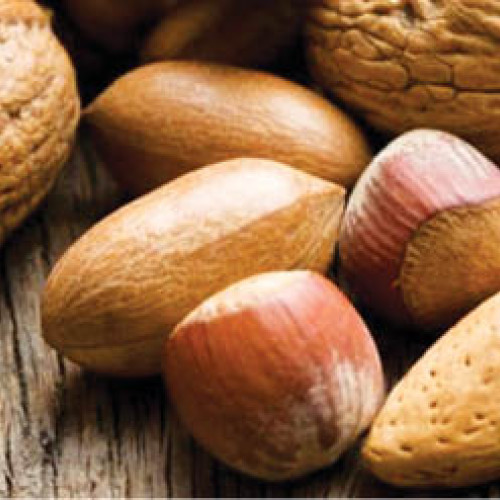 Postul echilibrat: reguli pentru aportul corect de proteine și grăsimi sănătoase