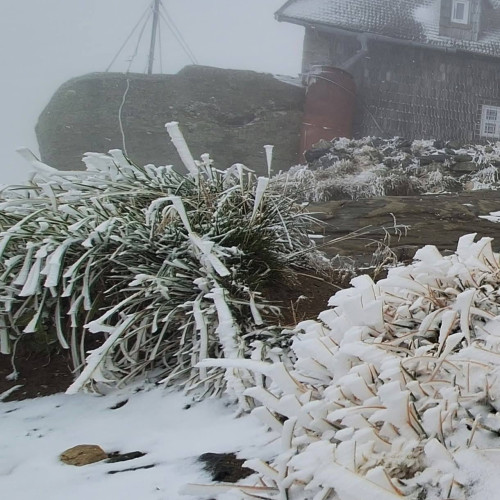 Cod portocaliu de ninsori abundente în zona montană a Bucegilor